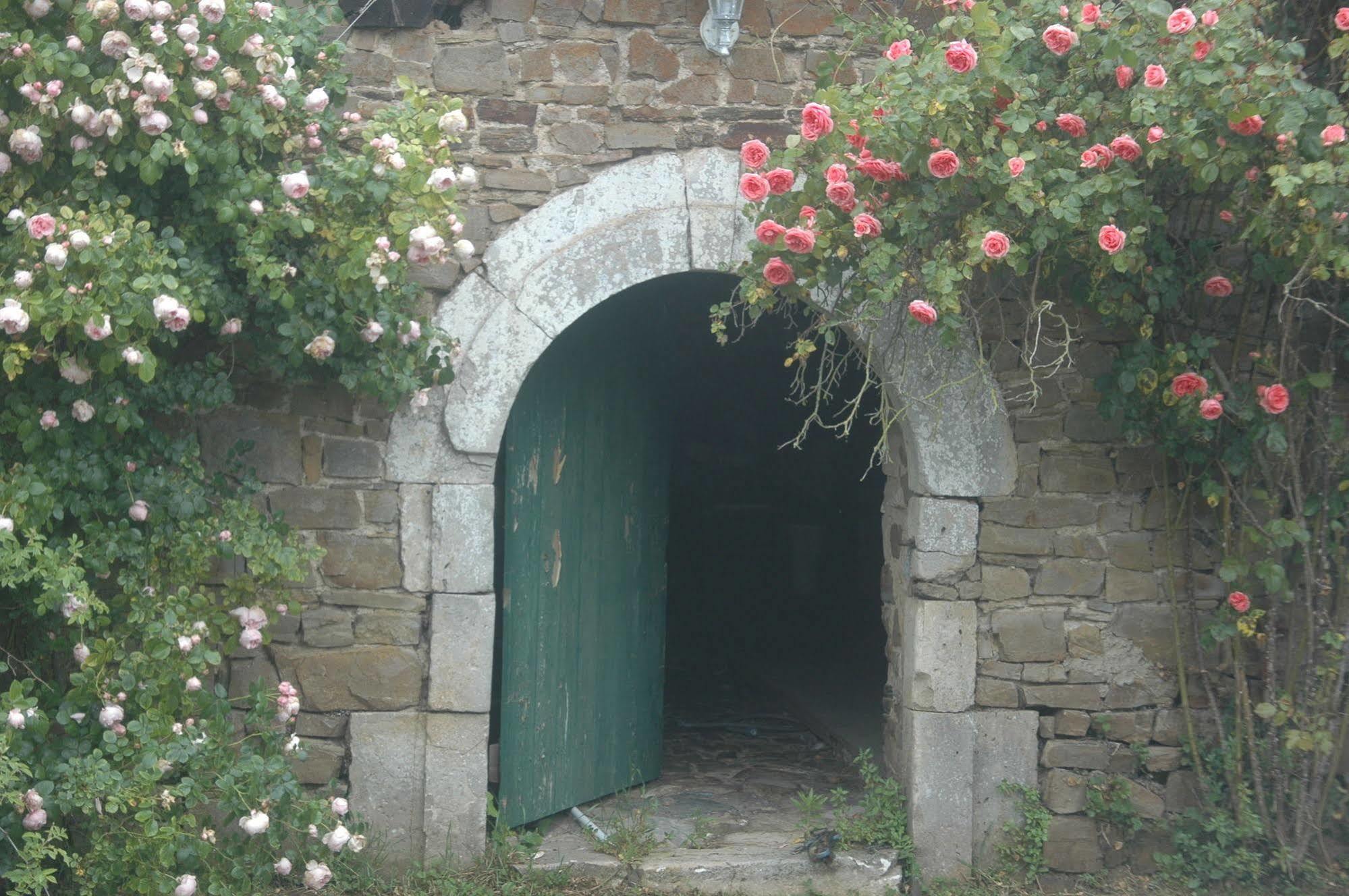 Le Chateau De Claids Saint-Patrice-de-Claids Dış mekan fotoğraf